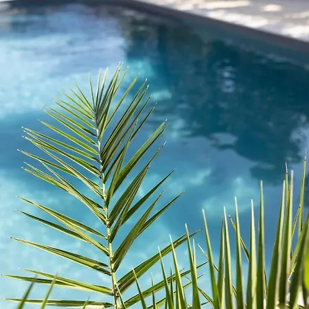 아파트 Chez Mathieu Et Carlota Murches