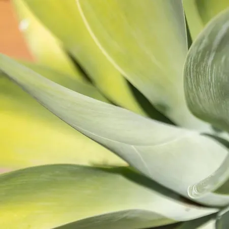 Chez Mathieu Et Carlota Murches