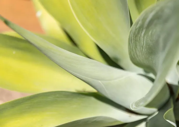 Chez Mathieu Et Carlota Murches